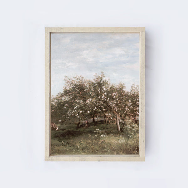 Vintage Apple Blossom Countryside Painting A29-0
