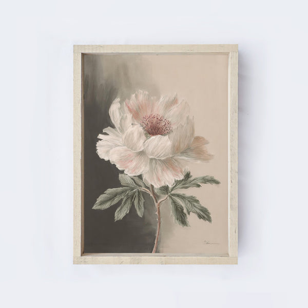 Vintage Peony Painting A14-0
