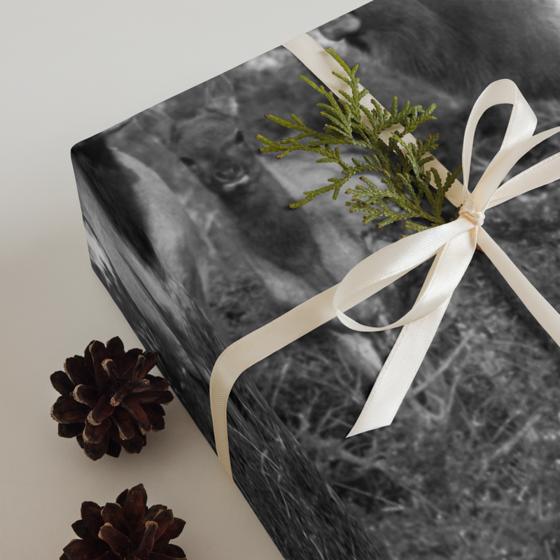 California Tule Elk Wrapping Paper Sheets